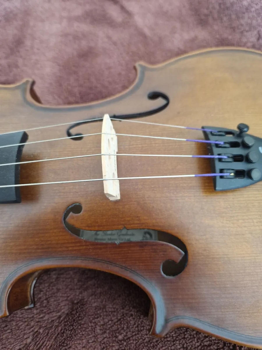 Violin Stentor Graduate 4/4 - Image 3