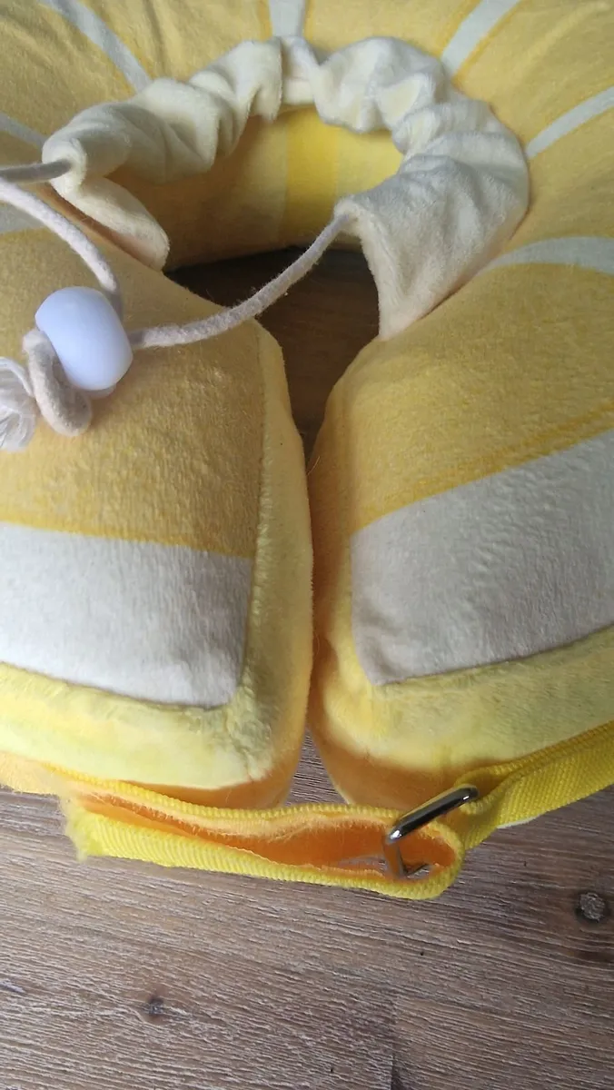 Inflatable Post Surgery Collar - Image 3