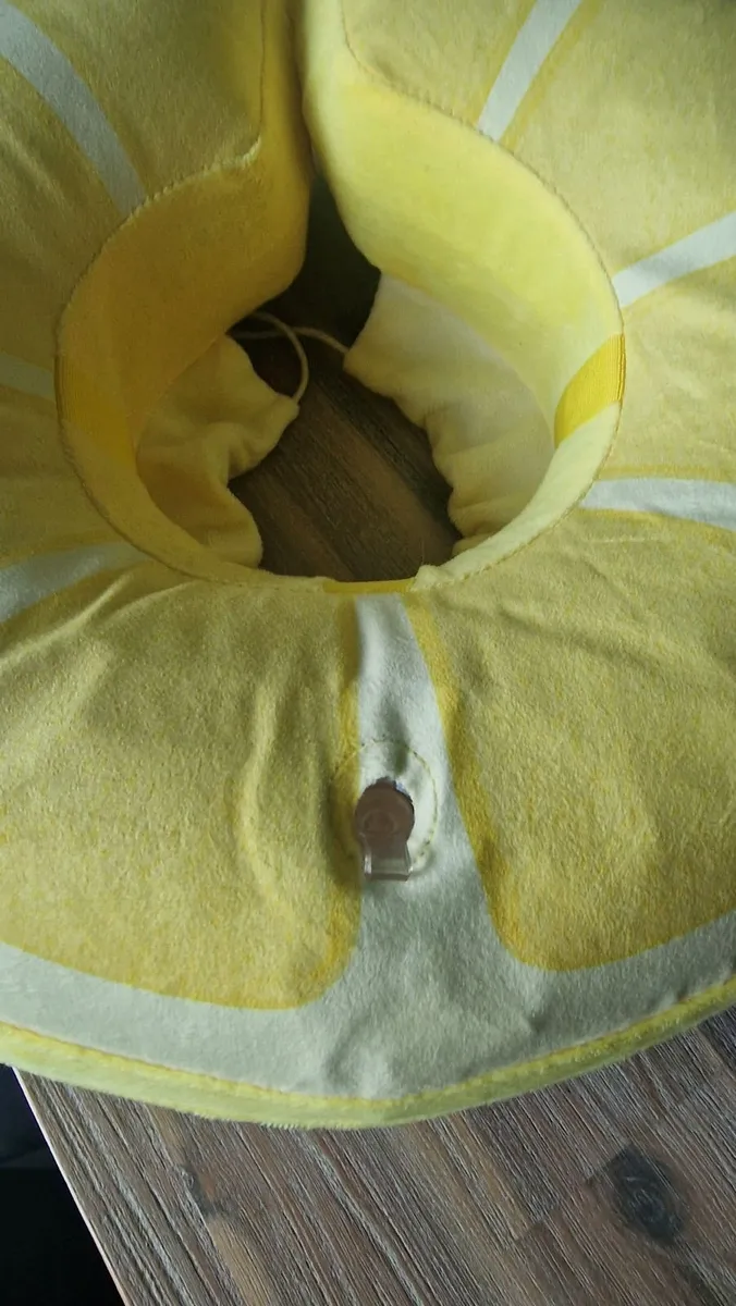 Inflatable Post Surgery Collar - Image 4