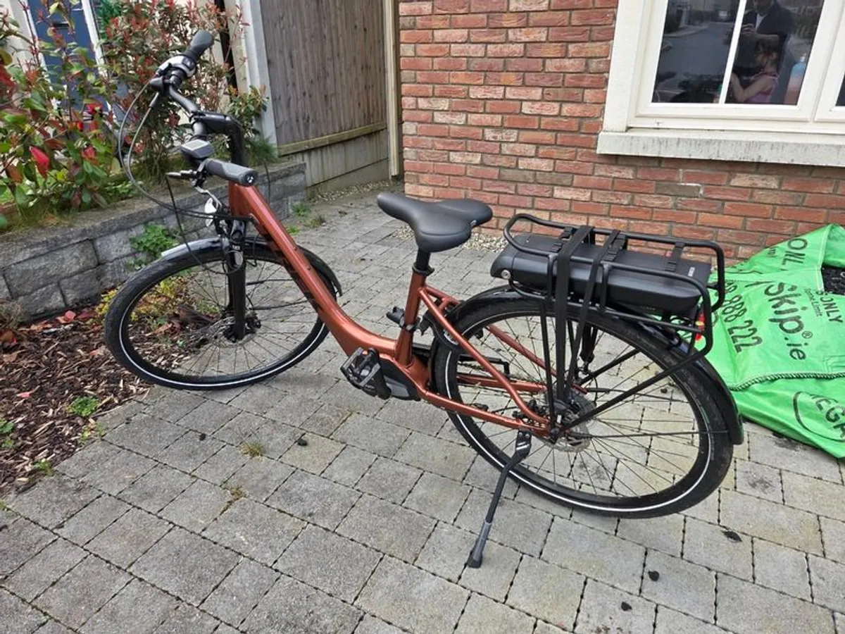 Trek Verve +1 Lowstep Electric Bicycle - Image 1