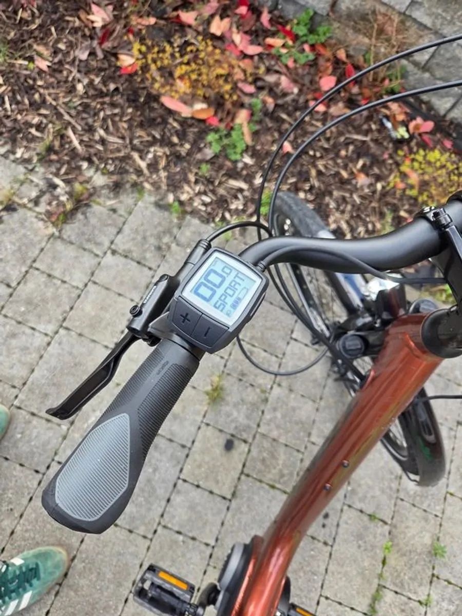 Trek Verve +1 Lowstep Electric Bicycle - Image 3