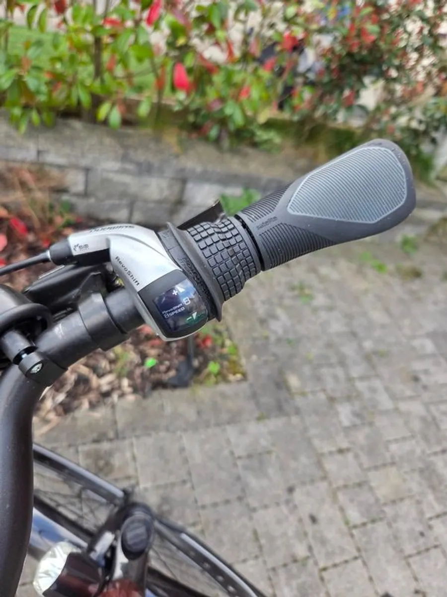 Trek Verve +1 Lowstep Electric Bicycle - Image 4