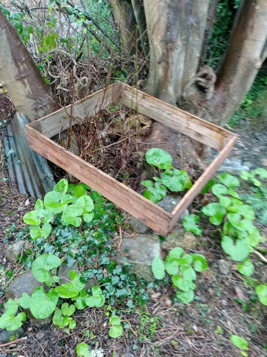 Raised beds for planting - D.18 area - Image 1