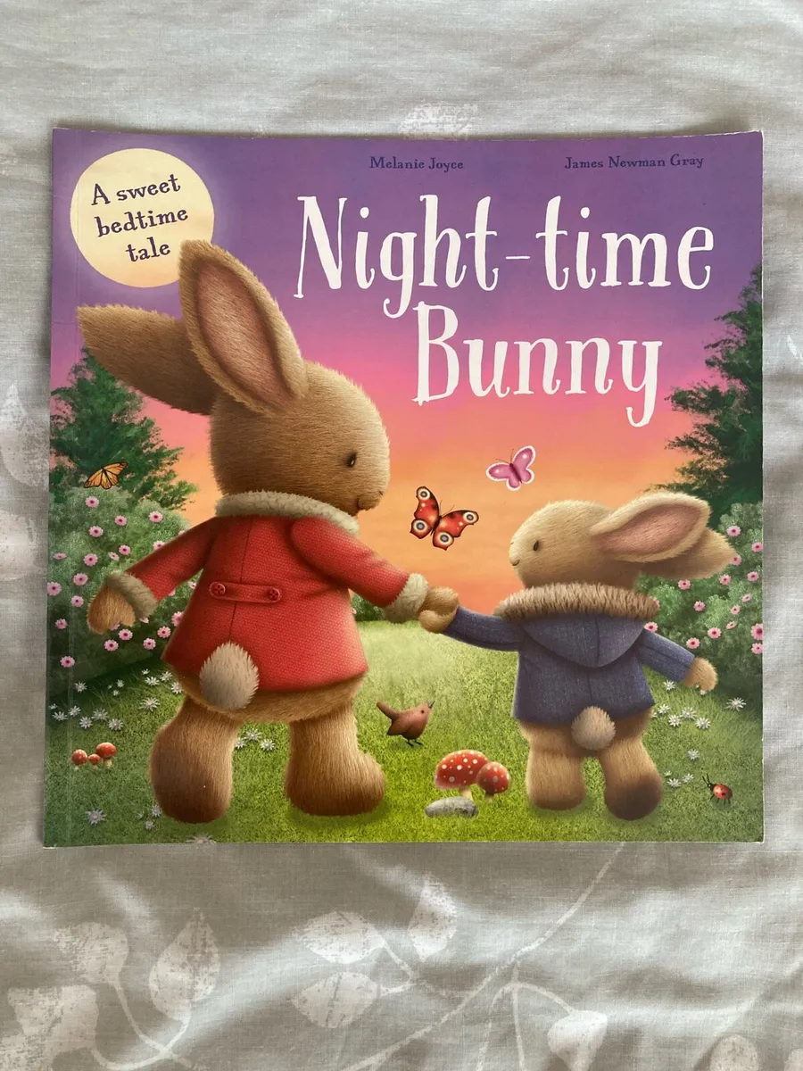 Night time bunny/ kids book