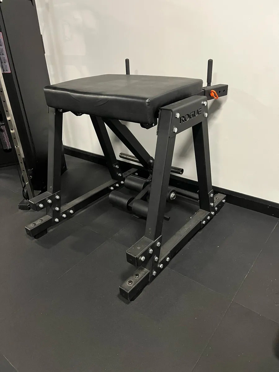 Rogue Reverse Hyper - Image 1