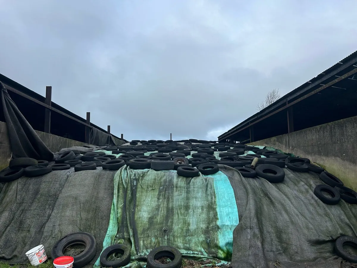 1st cut silage for sale