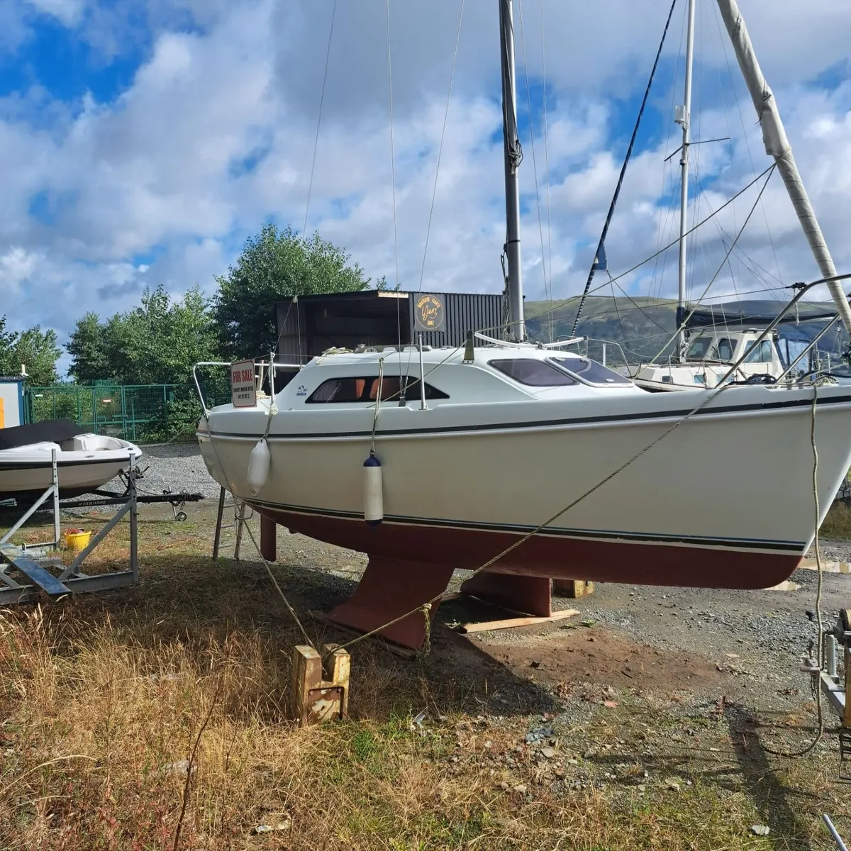 Hunter Ranger 245 - Image 2