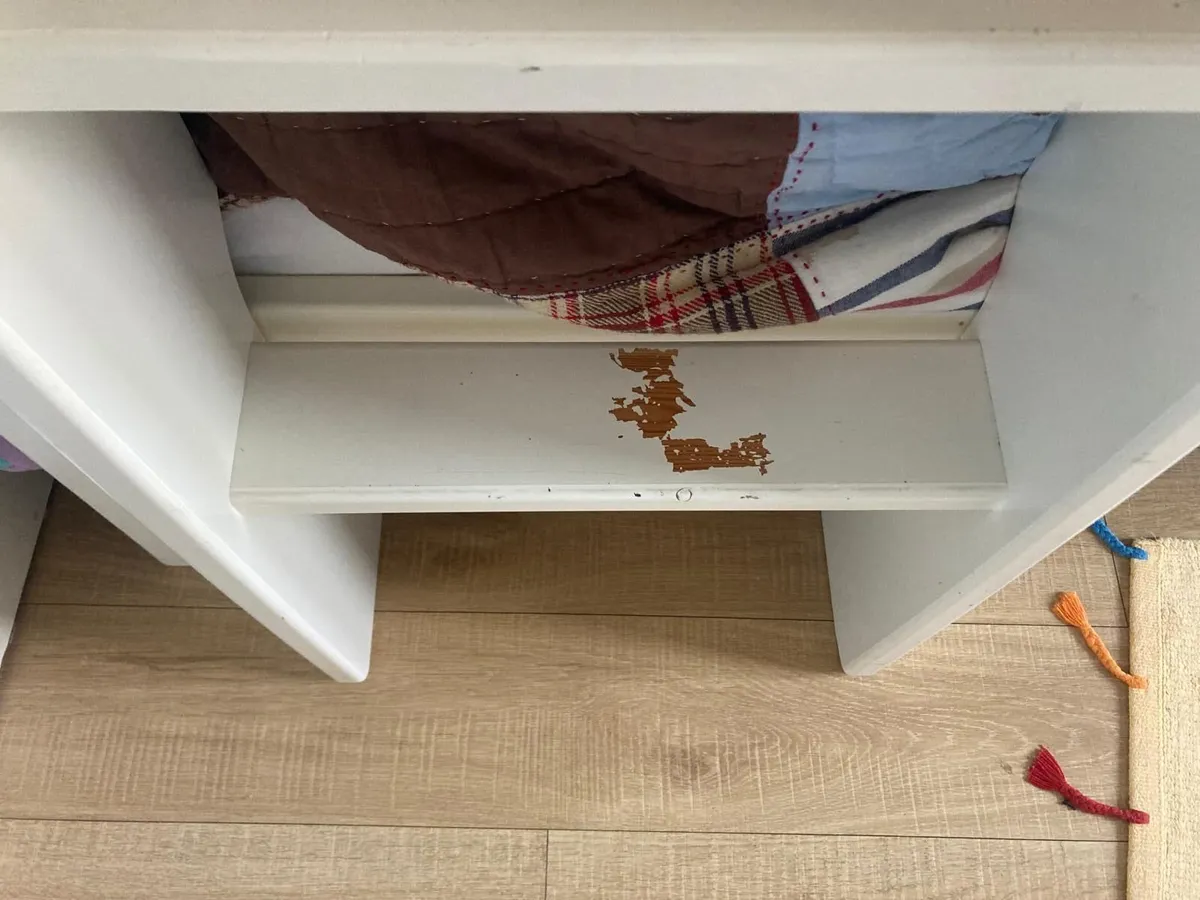 Bunk beds - Harvey Norman (collection only) - Image 2