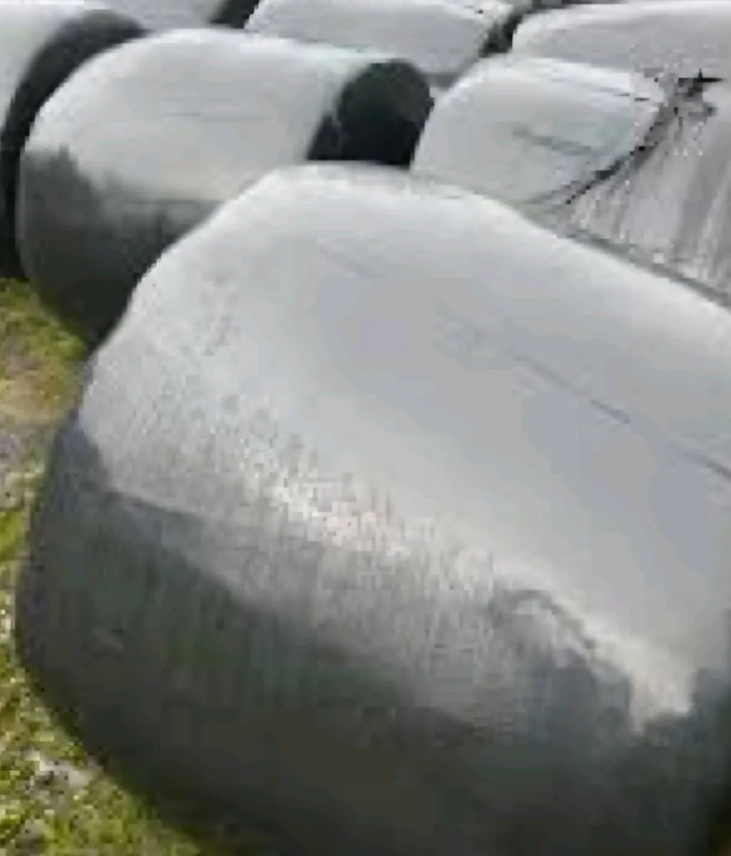 Silage bales for sale