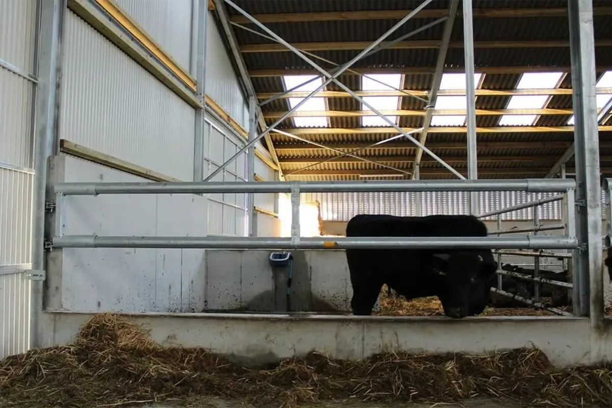 2 Bar Feed Rail - Image 1