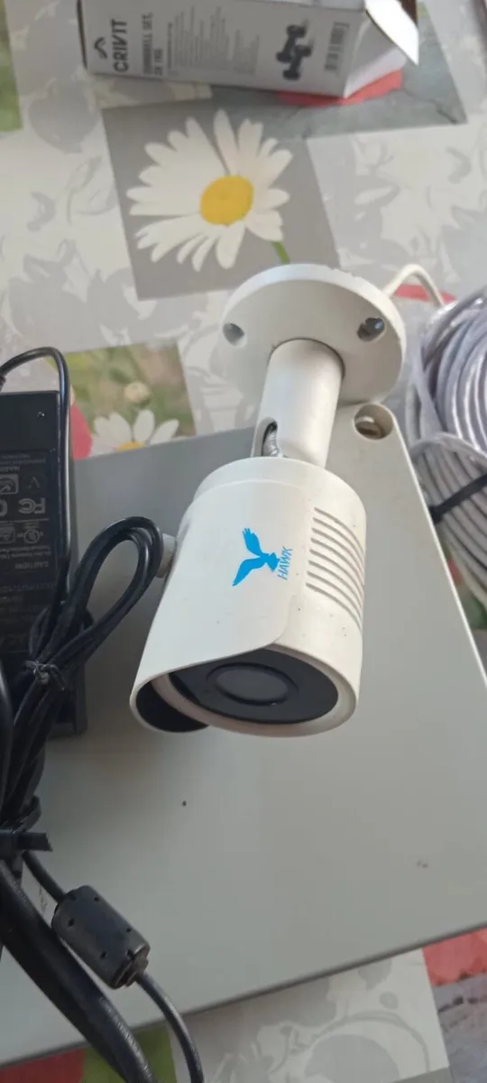 Lambing/calving camera - Image 1