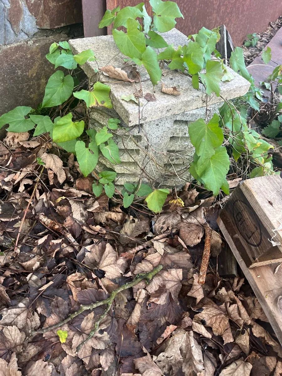 Garden items - Image 1