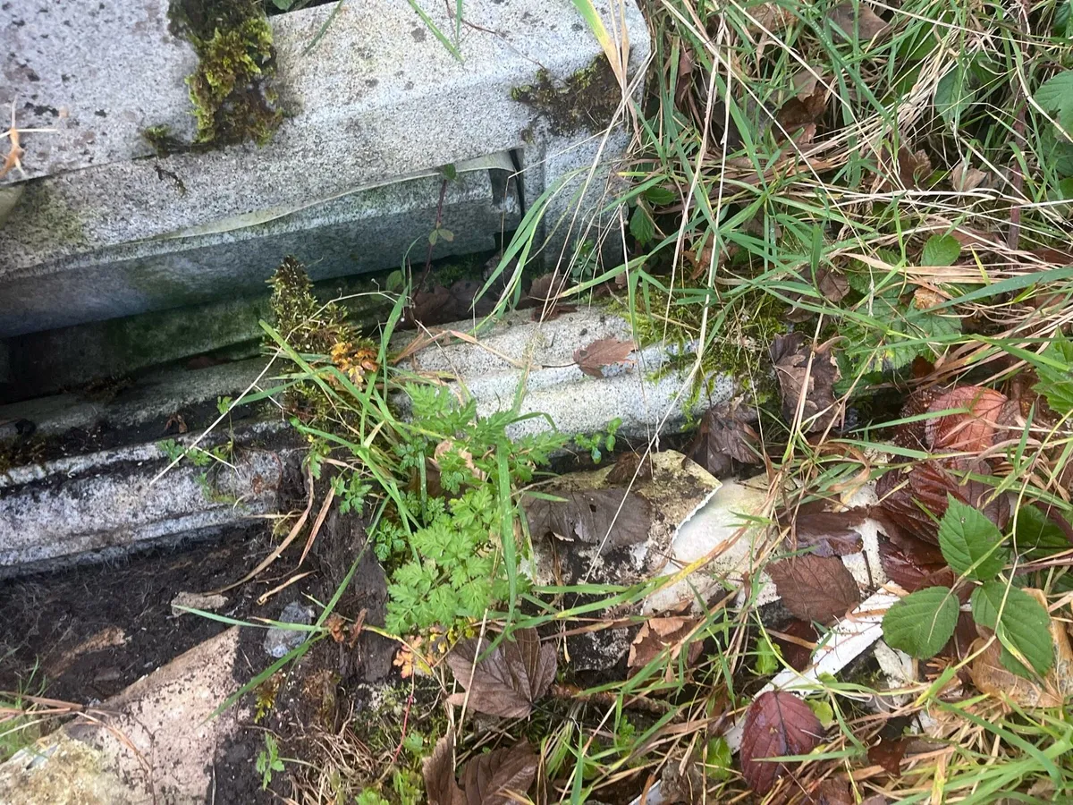 Garden items - Image 3