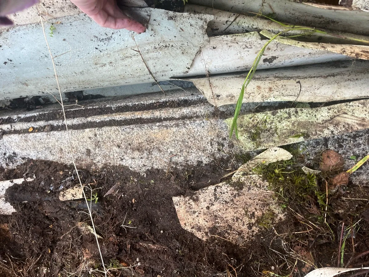 Garden items - Image 4