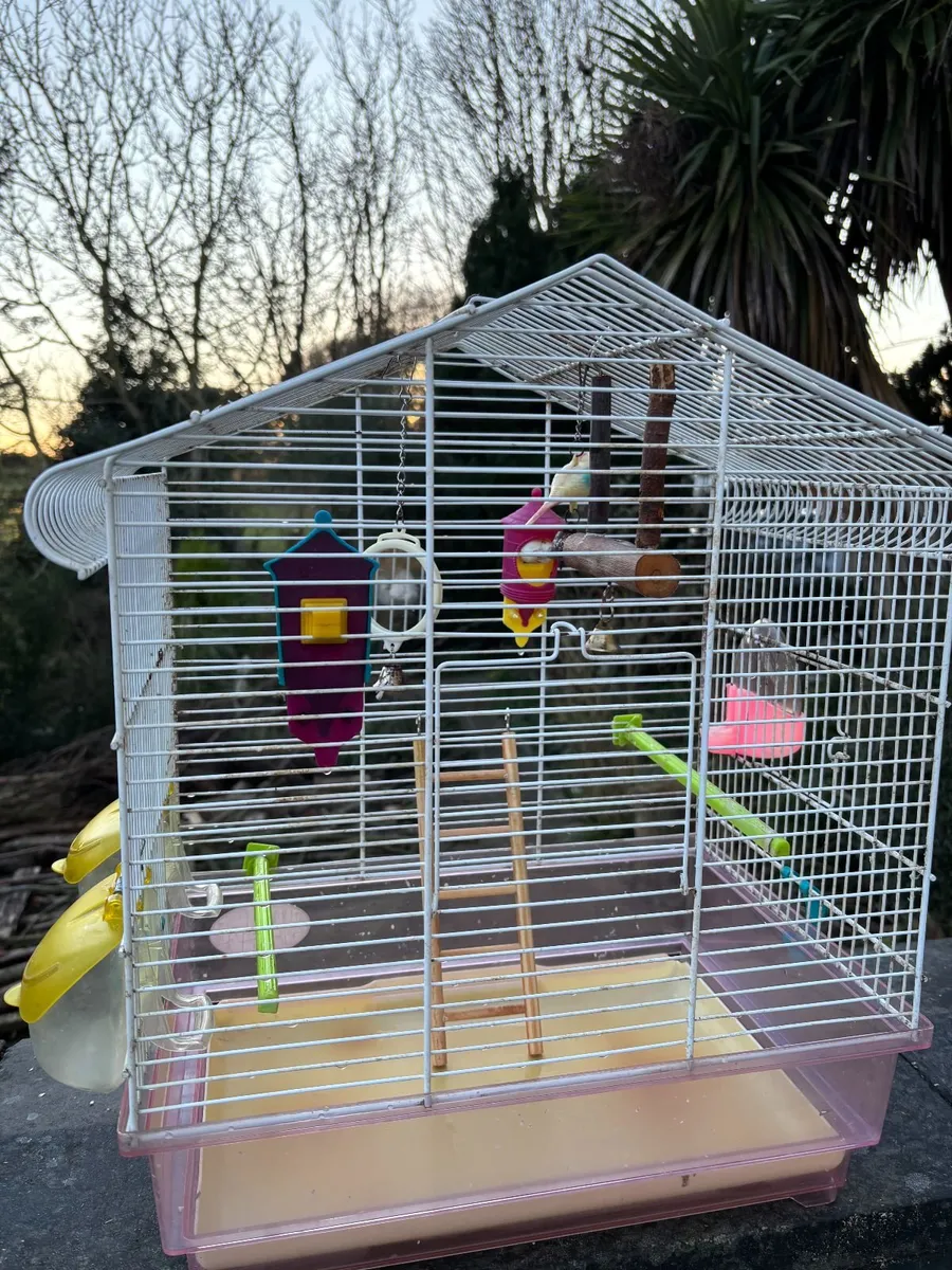 Bird cage - Image 1