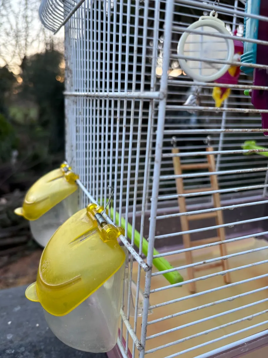Bird cage - Image 2