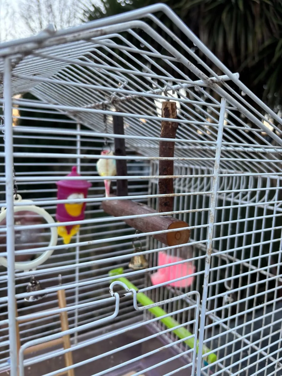 Bird cage - Image 4
