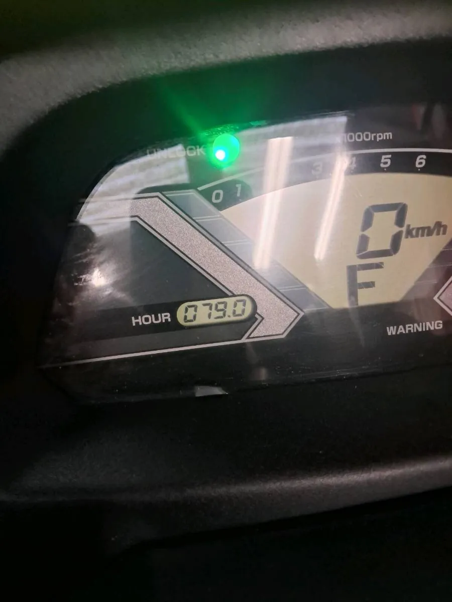 Yamaha vx delux - Image 4