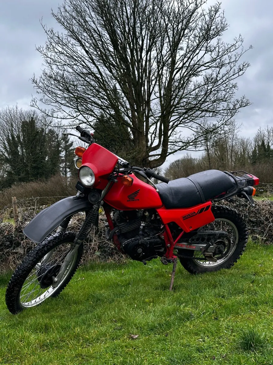 Honda xl250r 1983 brown book - Image 1
