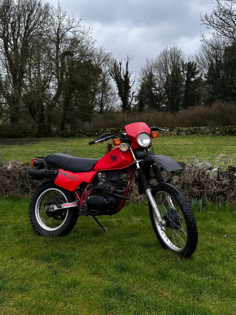 Honda xl250r 1983 brown book - Image 3