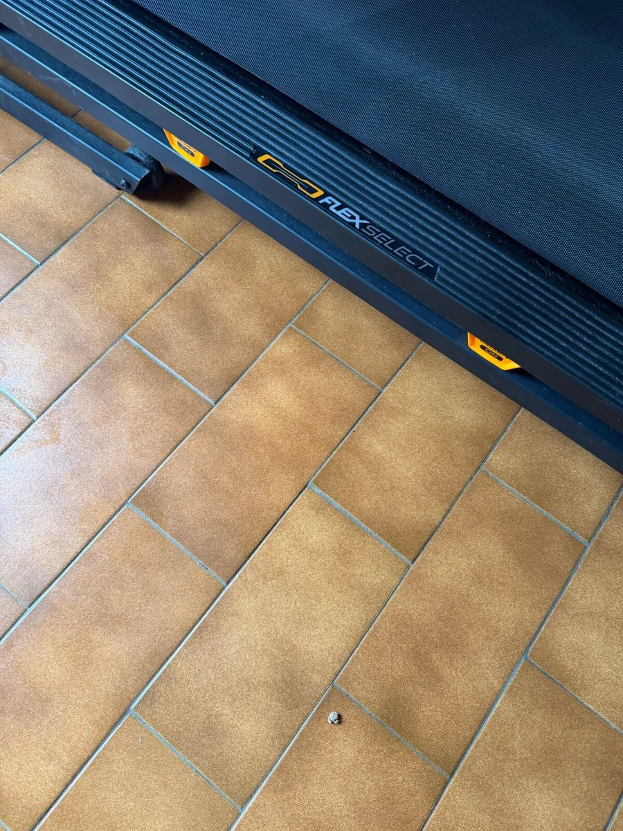 Nordic track - Image 3