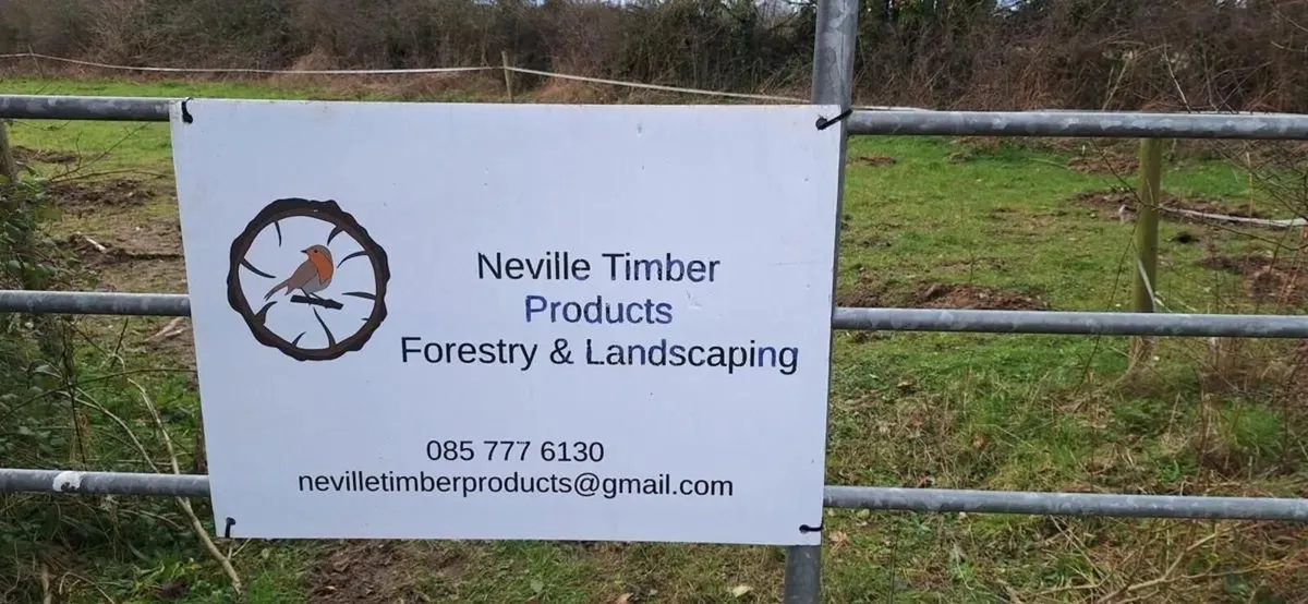 Whitethorn Hedging - Image 2