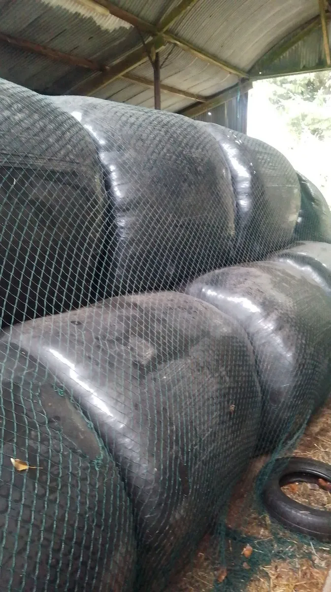 Silage bales
