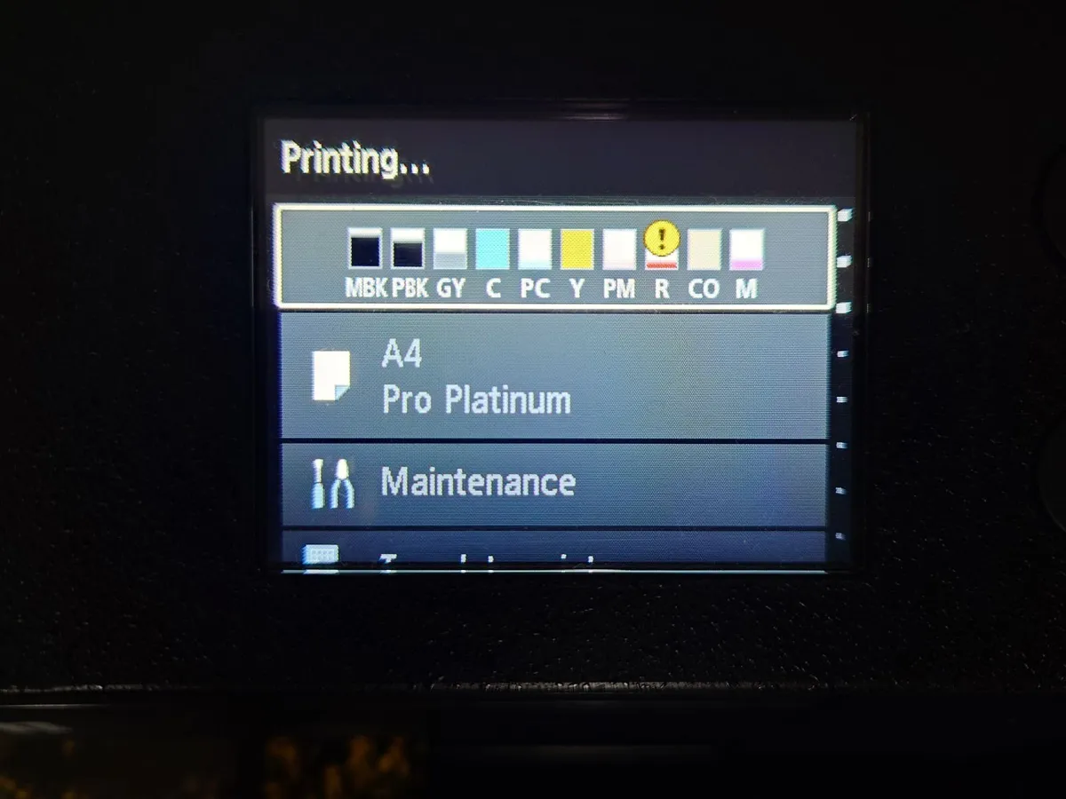 Canon Pro-300 Photo Printer A3+ - Image 4