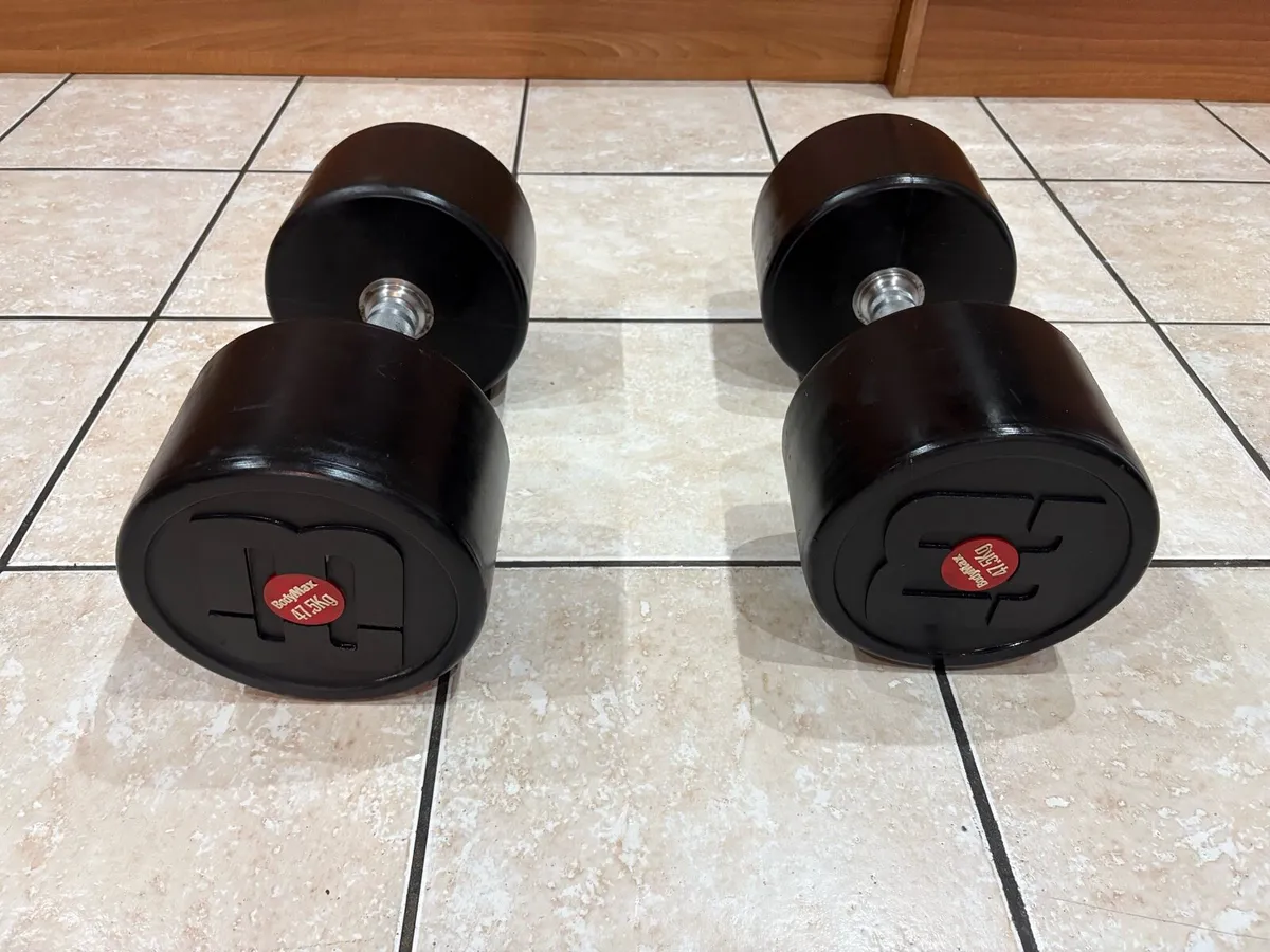 CHEAP 2 X 47.5KG PRO COMMERCIAL DUMBBELLS, SAVE!! - Image 1