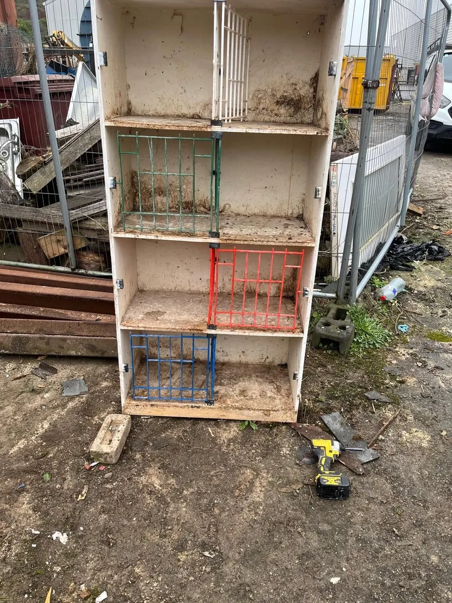 Pigeon Paraphernalia - Image 1