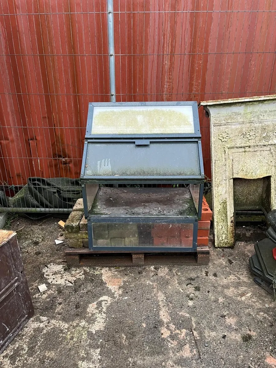 Pigeon Paraphernalia - Image 4