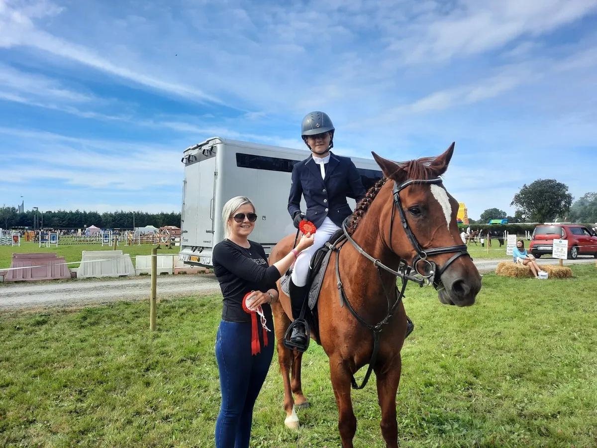 10 yr old 148cm mare - Image 2