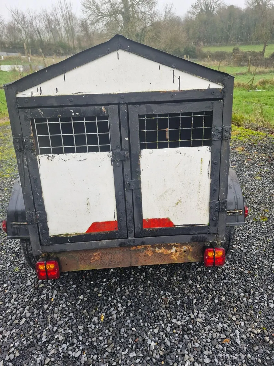Dog Transport Box - Image 2