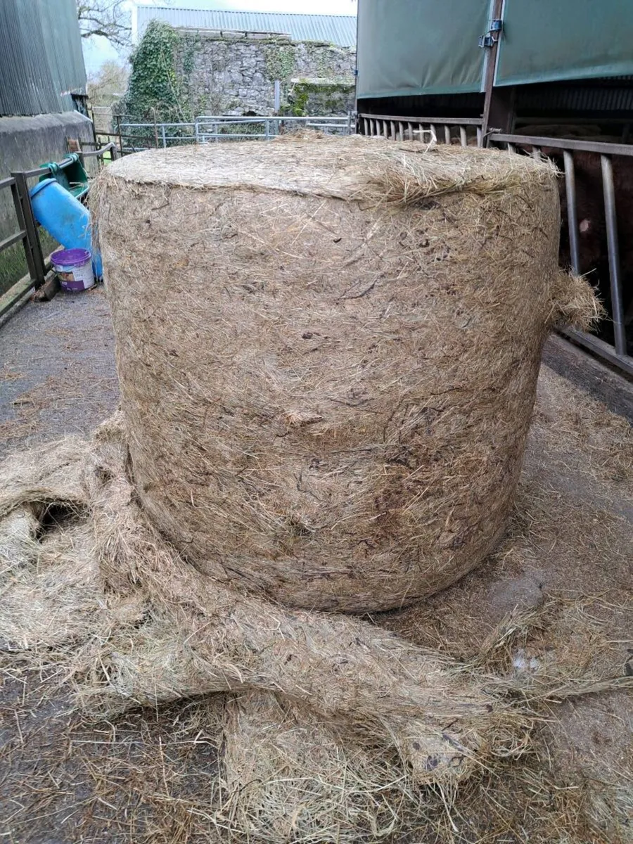 Haylage/Silage Bales - Image 4