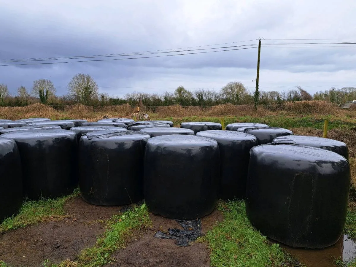 Haylage/Silage Bales - Image 1