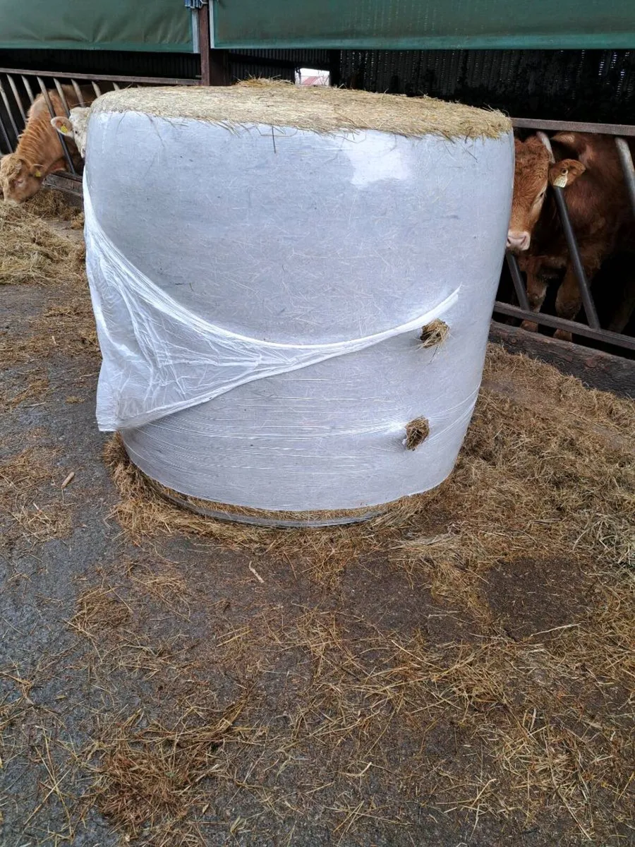 Haylage/Silage Bales - Image 3