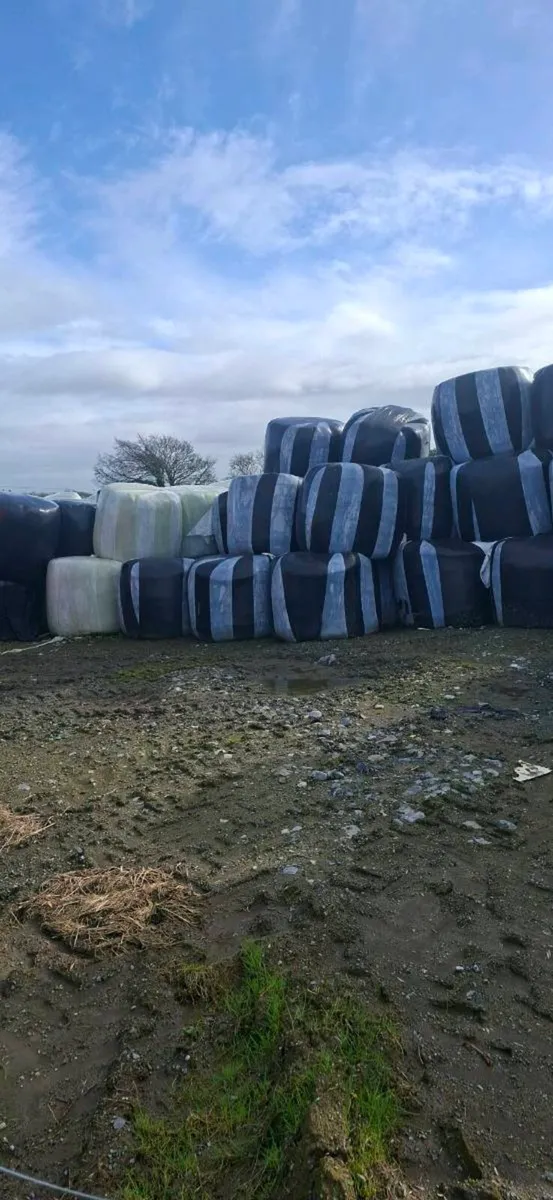 Silage bales