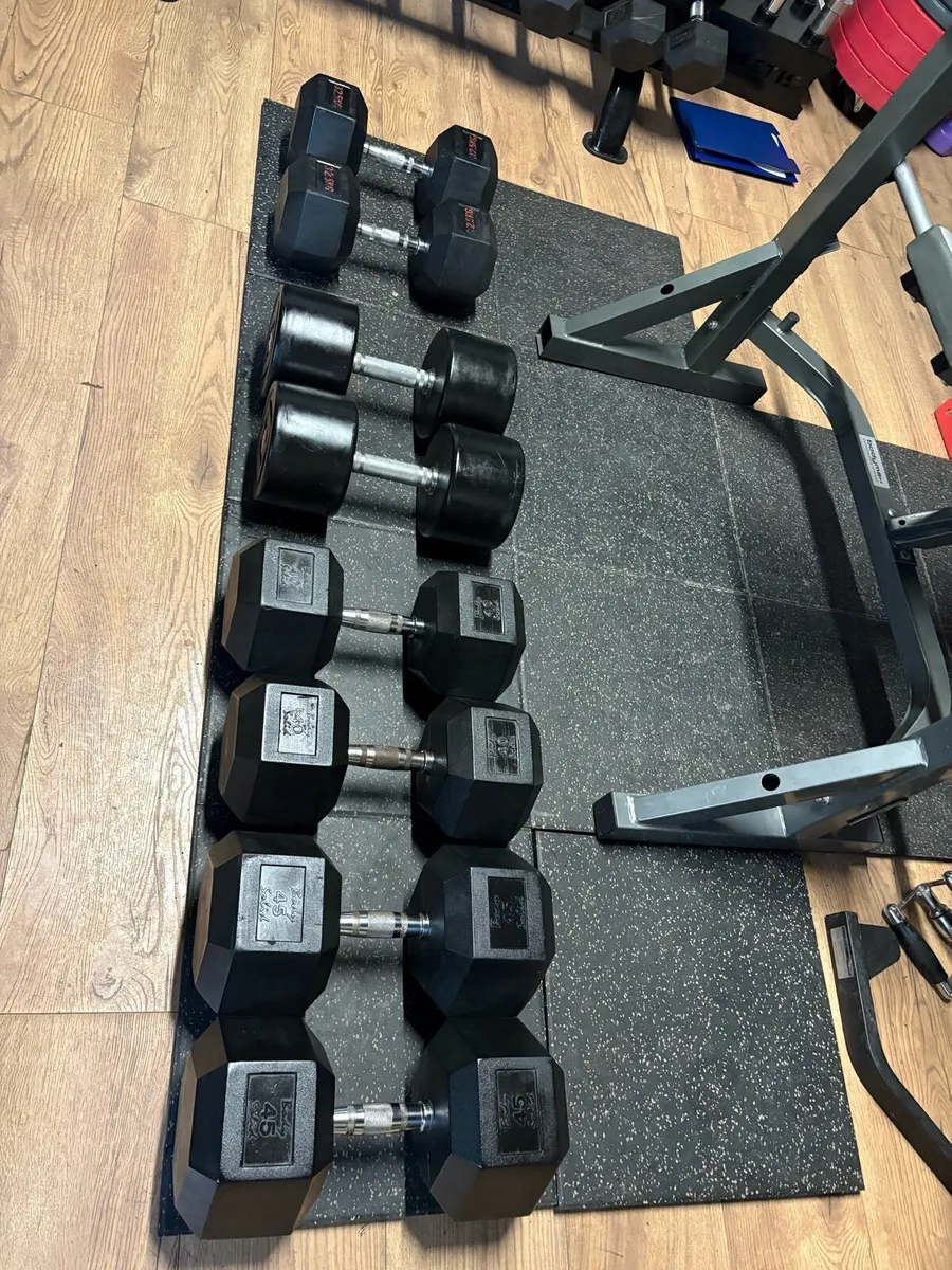 RUBBER HEX DUMBBELLS HEAVY, ONLY 2 EURO PER KG! - Image 1