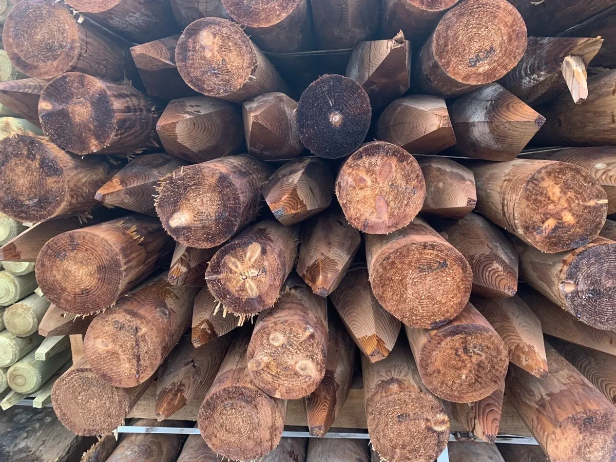 Fencing posts and wire. - Image 1