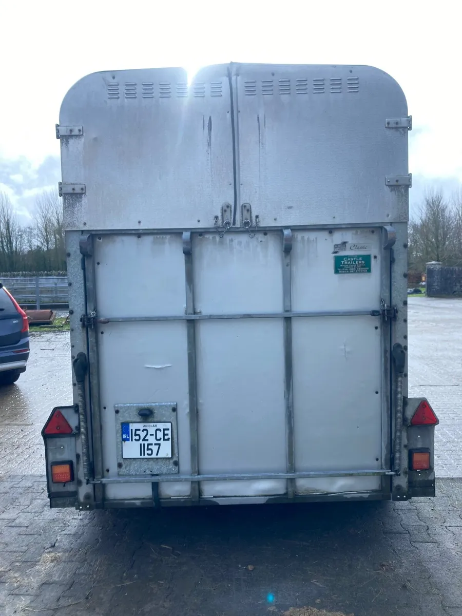 Horse box Ifor Williams - Image 2