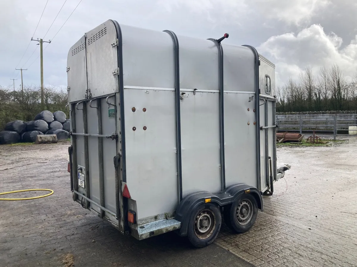 Horse box Ifor Williams - Image 4