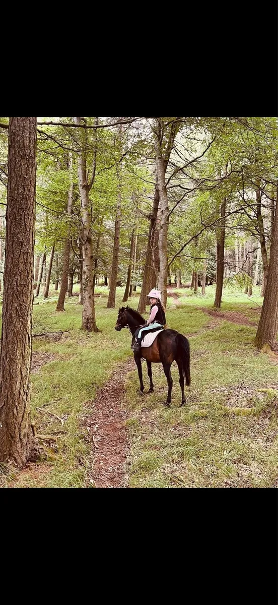 Total all rounder mothers dream - Image 4