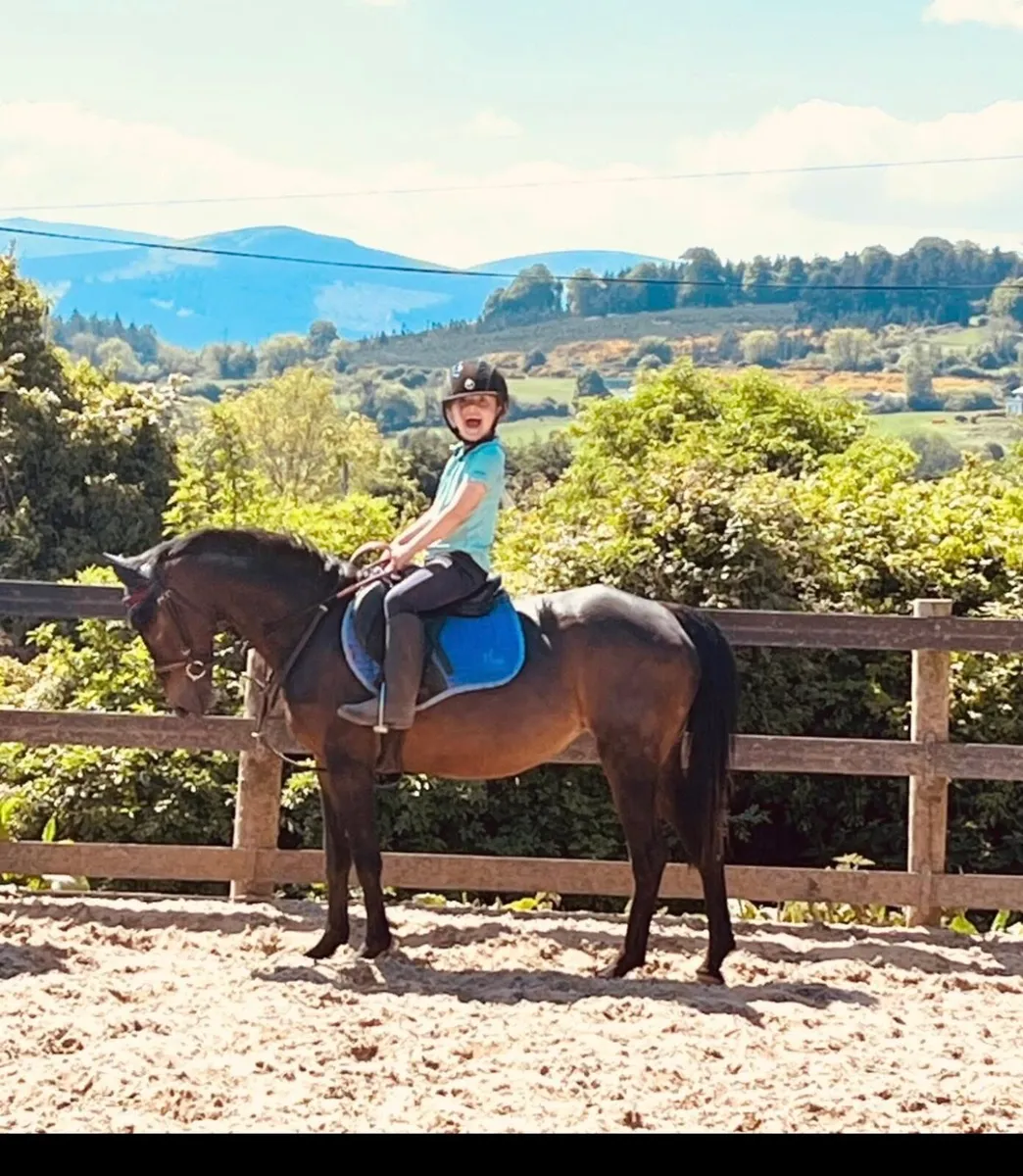 Total all rounder mothers dream - Image 1