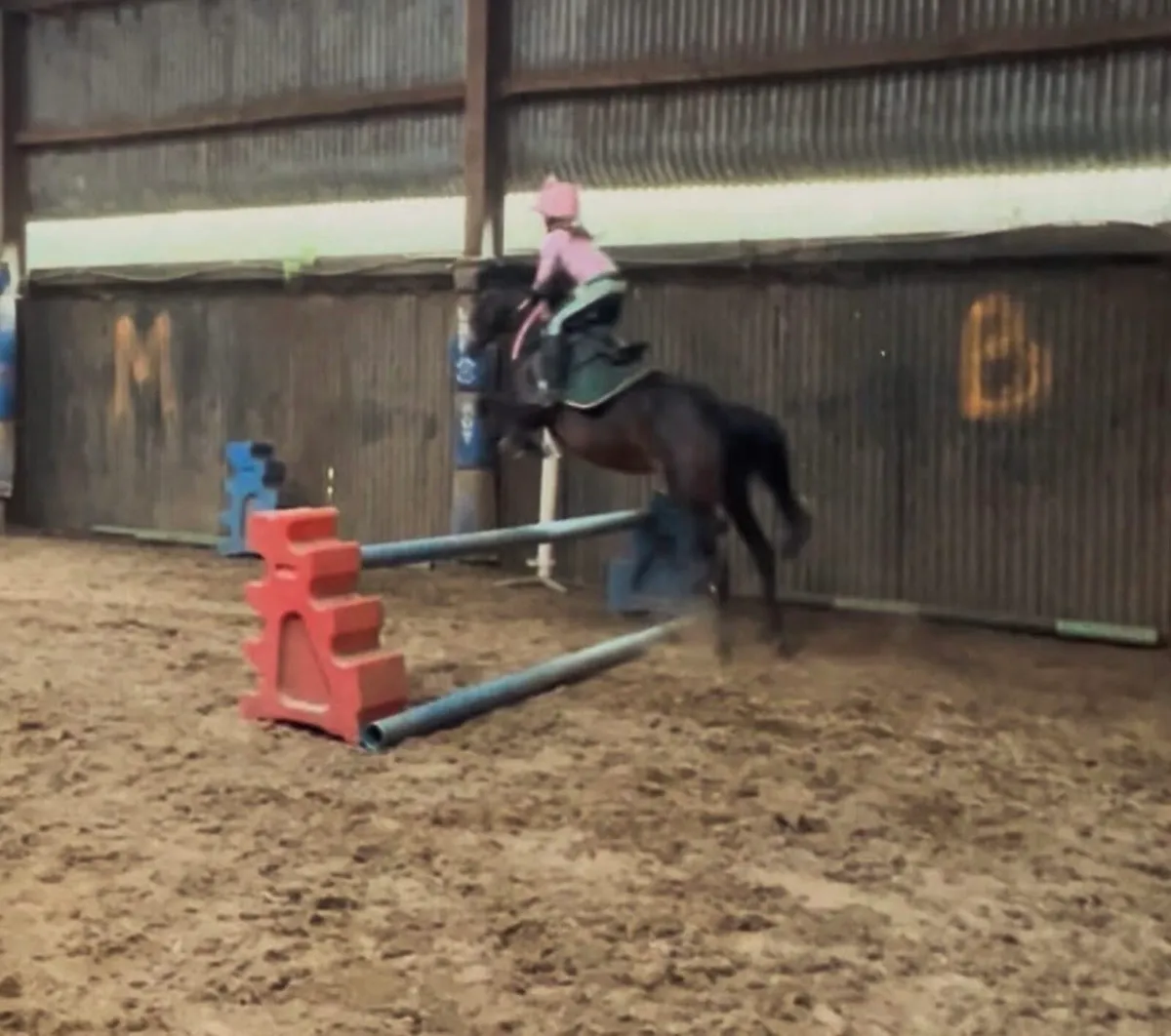 Total all rounder mothers dream - Image 2