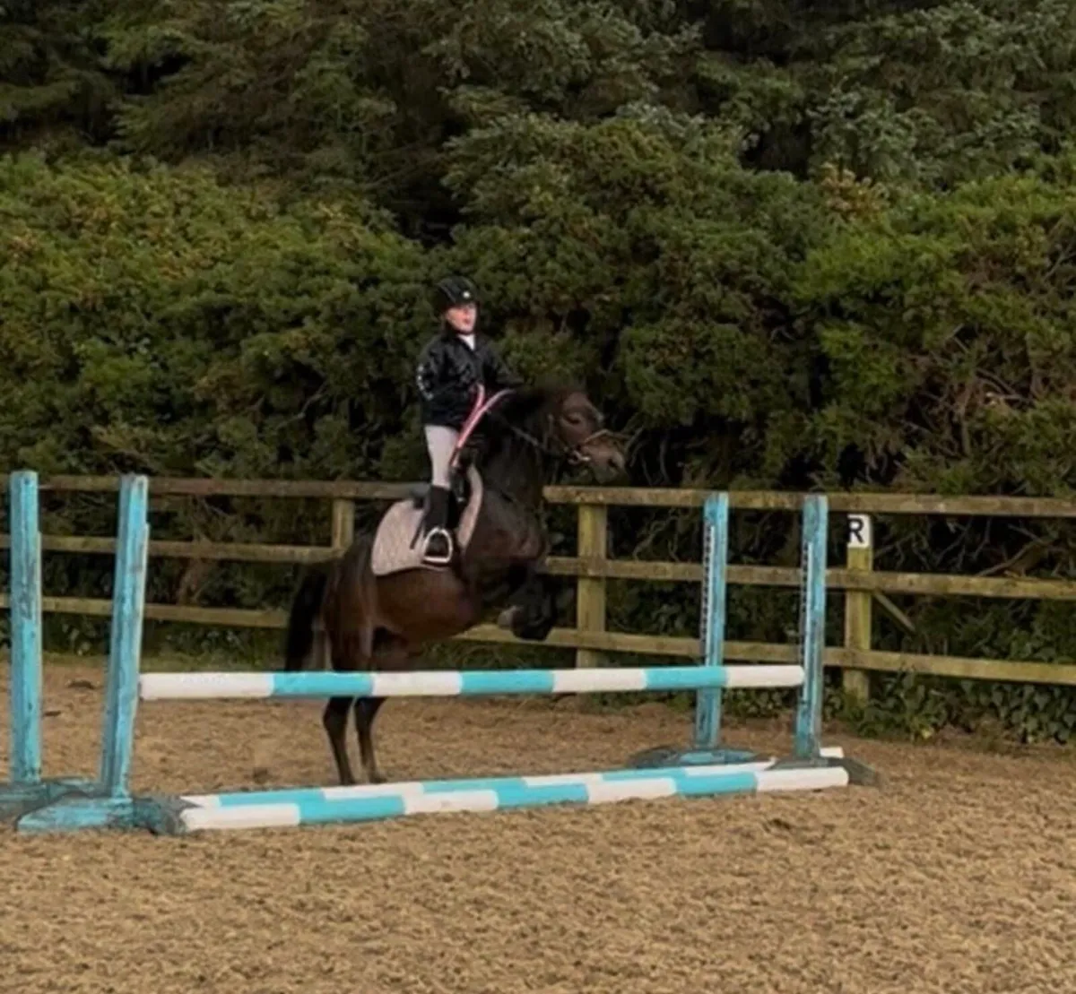 Total all rounder mothers dream - Image 3