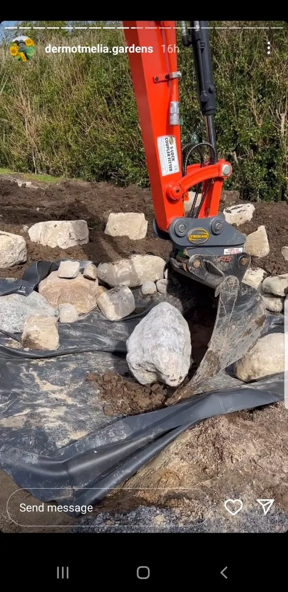 Ballycotton Large Landscape Boulders on pallet - Image 4
