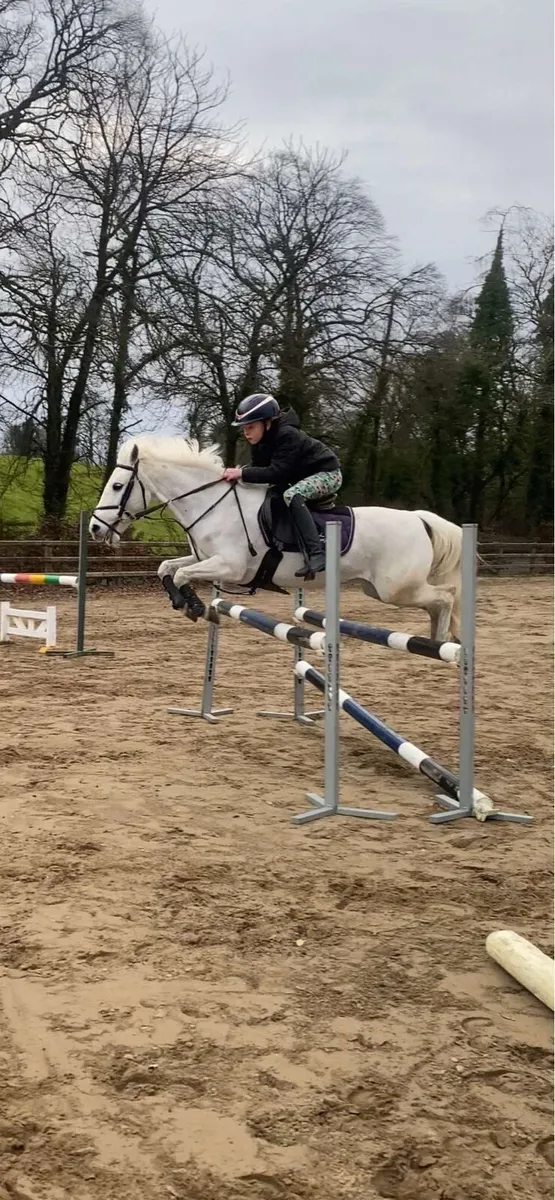 128 Grade A Pony - Image 1