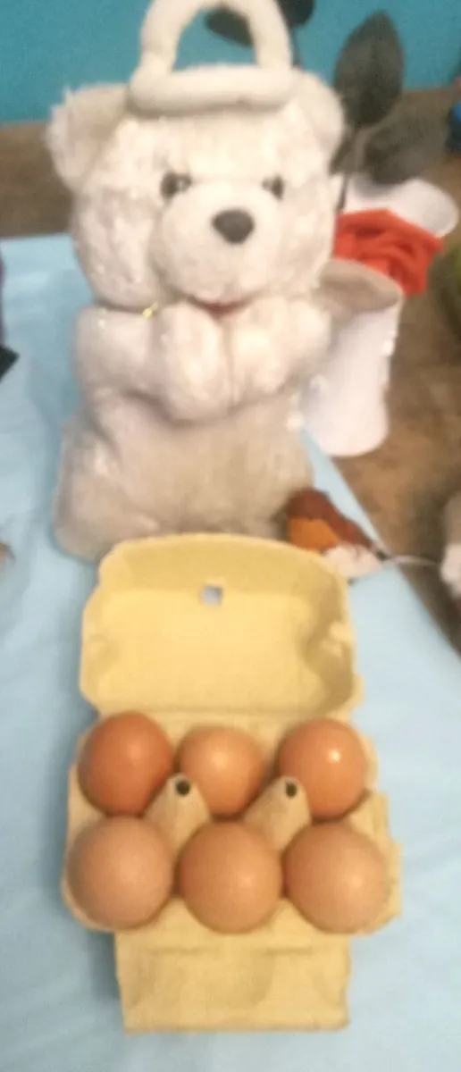 Fresh free range hen eggs - Image 1