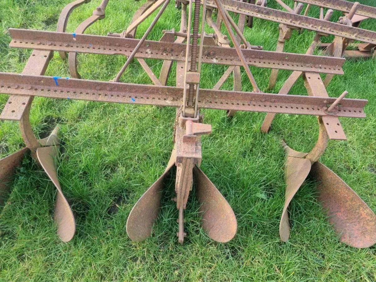 Drill plough - Image 1