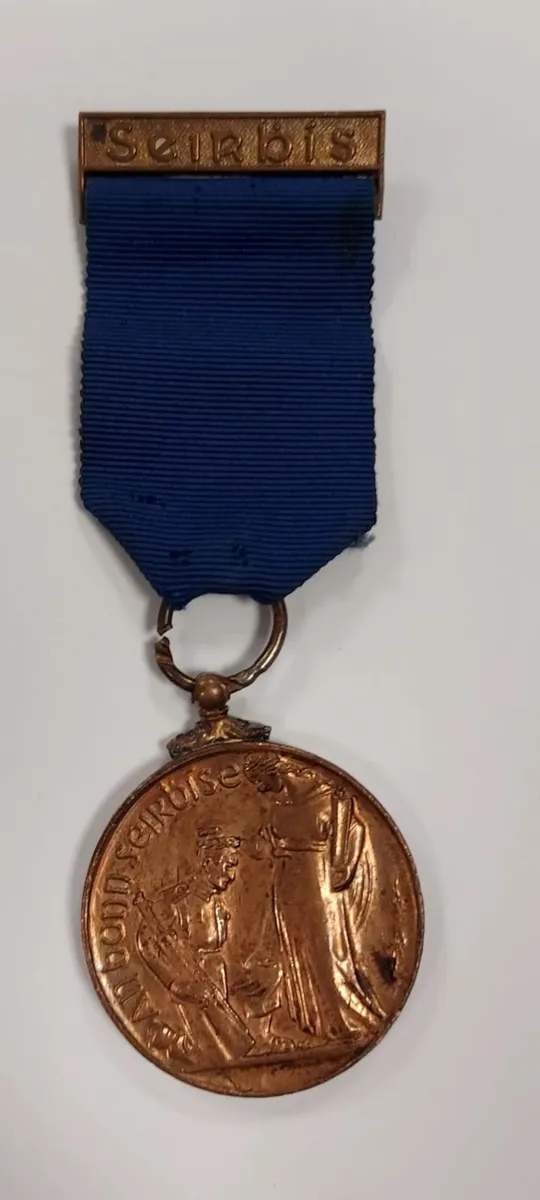 Irish Military and UN: Medals, Patches & Lapels - Image 4